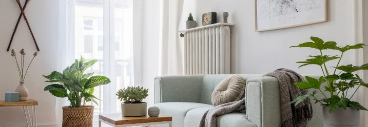 Helles Wohnzimmer mit Sofa und Pflanzen